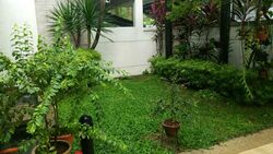 Tan Sim Boh Road (D11), Semi-Detached #275264621